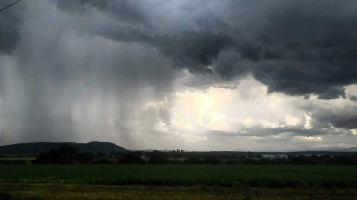 GUANAJUATO- Lluvias favorecen a las actividades agrícolas (2)